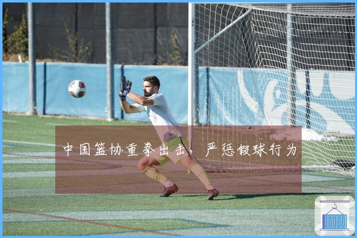 中国篮协重拳出击，严惩假球行为