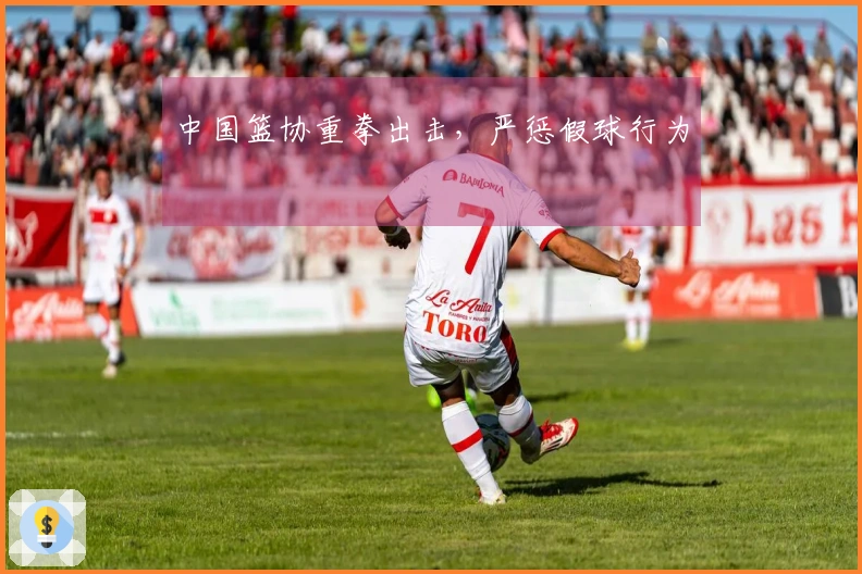 中国篮协重拳出击，严惩假球行为